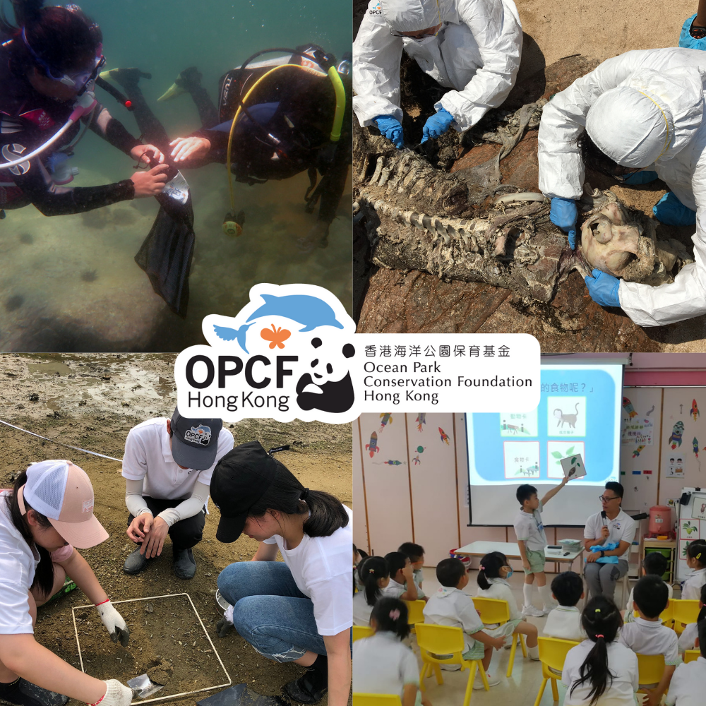 支持香港海洋公園保育基金